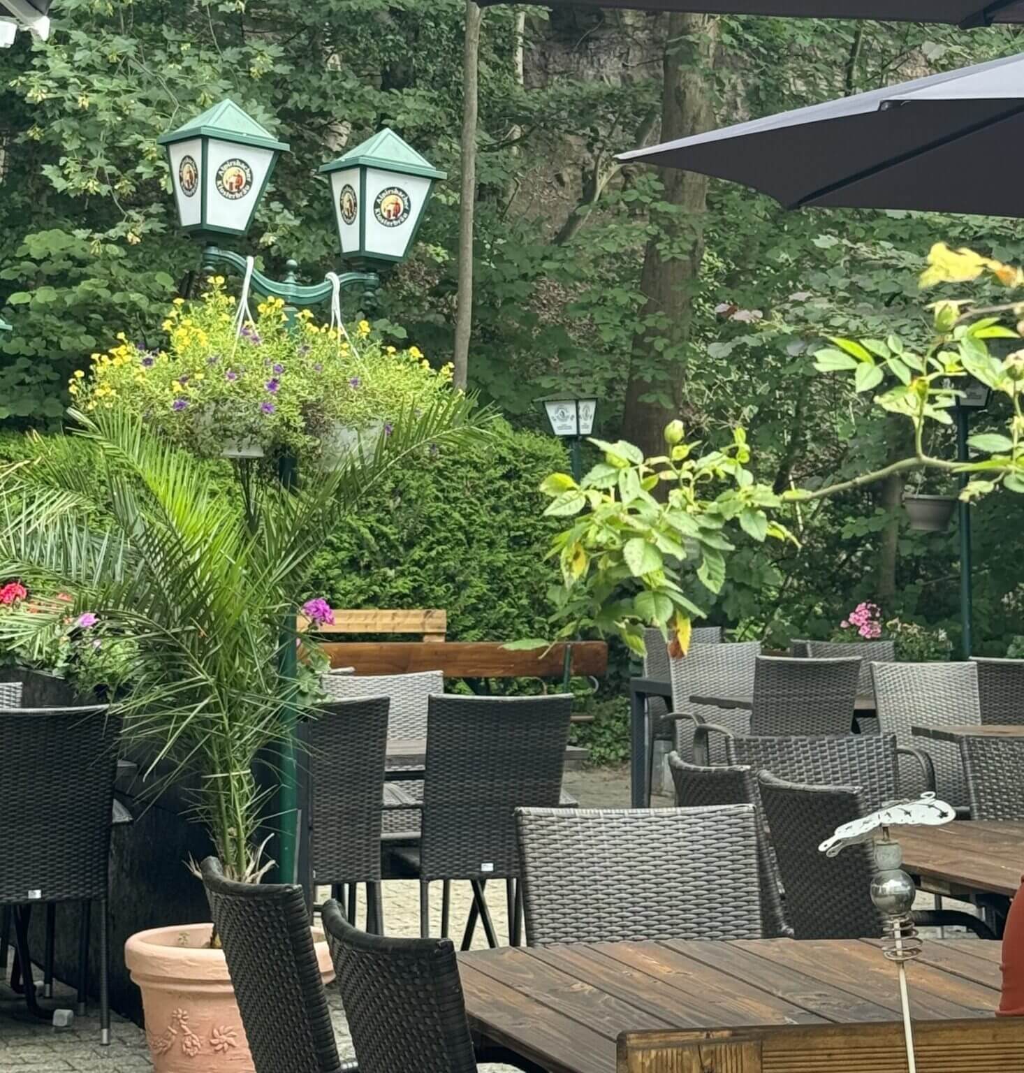 Leerer Biergarten mit braunen Holztischen, schwarzen Stühlen und üppigem Grün